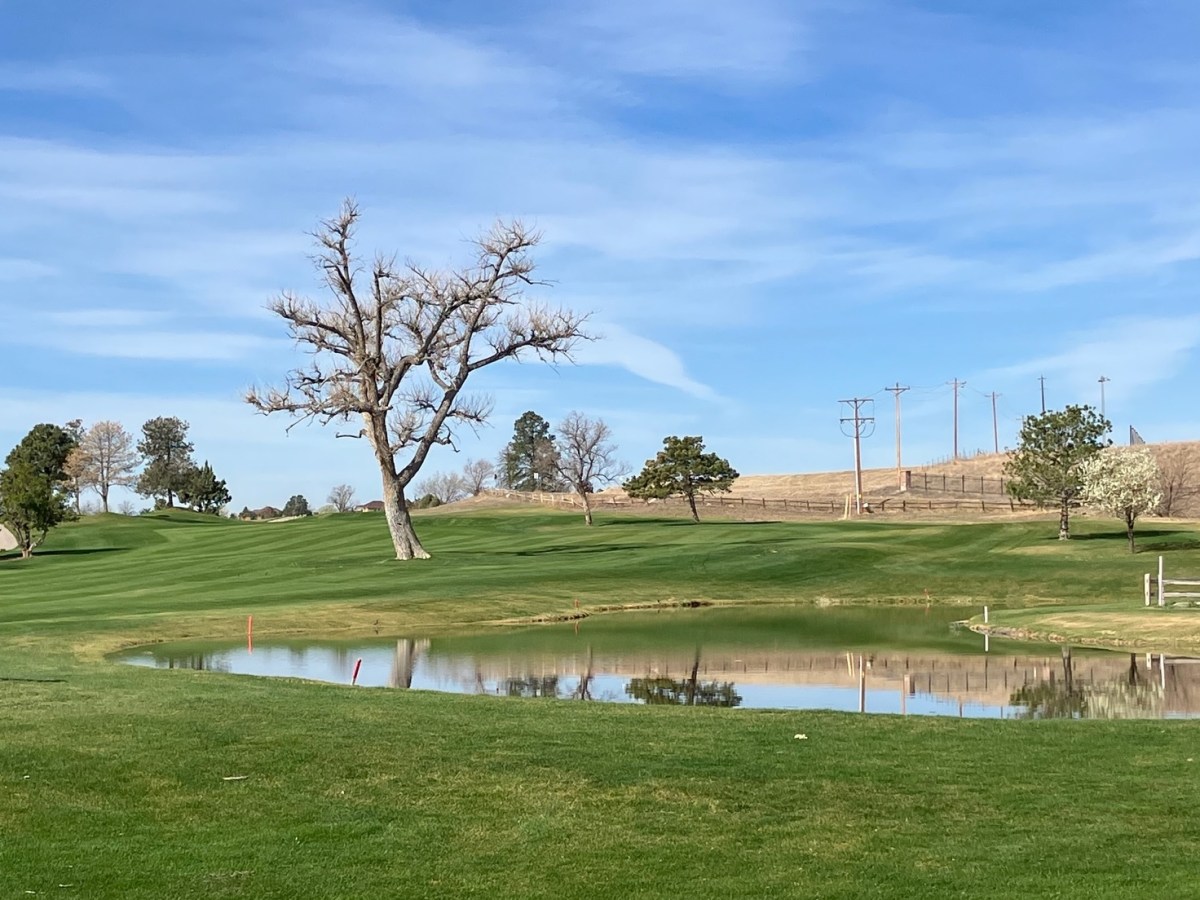 Far From the&nbsp;Norm